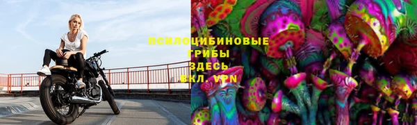 MDMA Premium VHQ Магадан