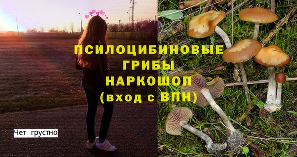 MESCALINE Майский