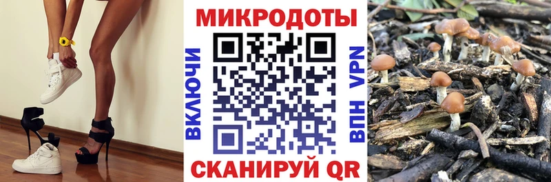 хочу   Ессентукская  Псилоцибиновые грибы прущие грибы 